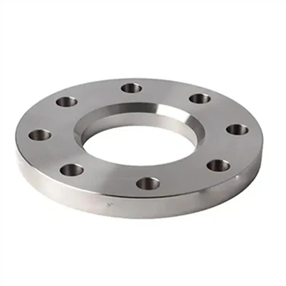 Flangia in acciaio inossidabile SUS 317L